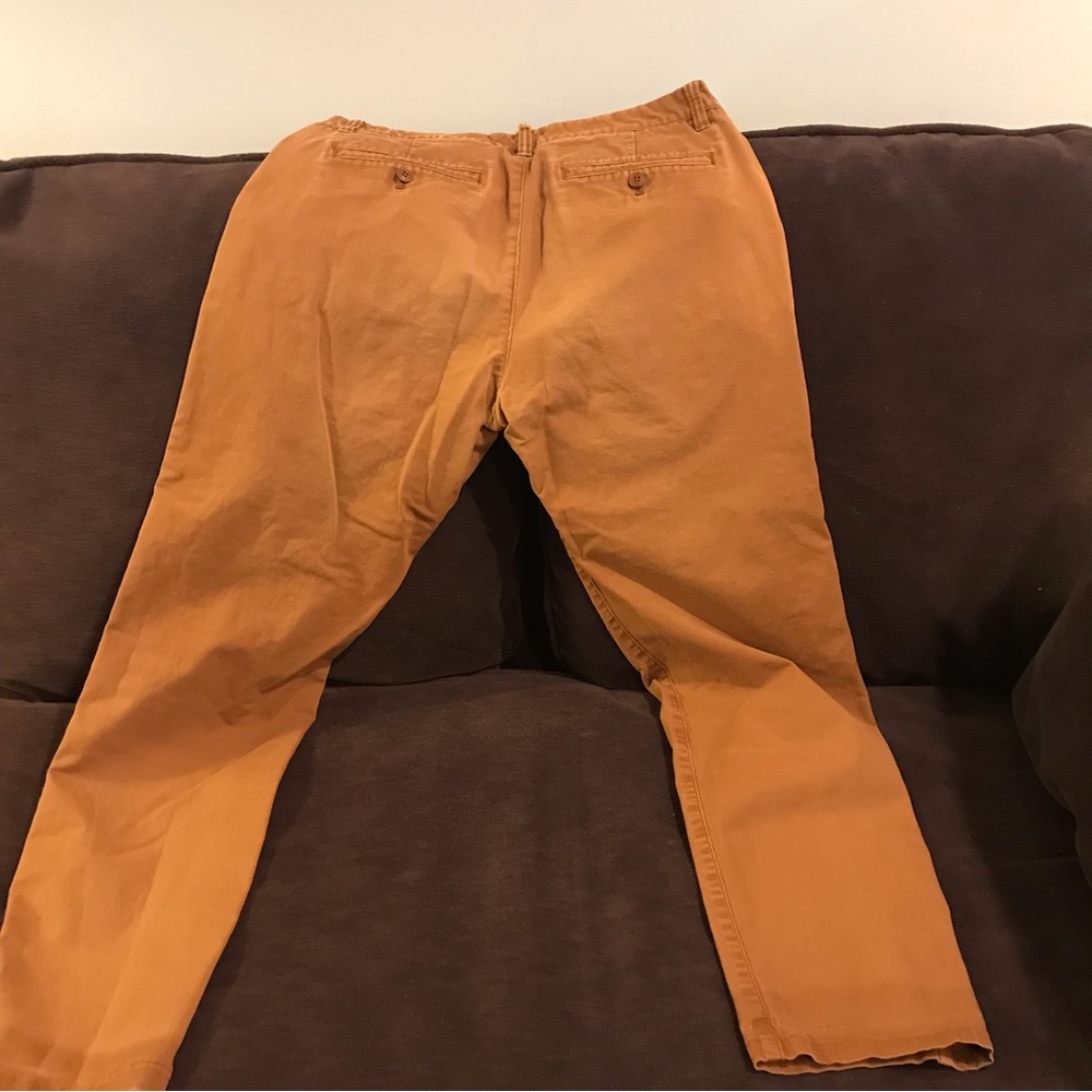 BONOBOS - Picture 4 of 7